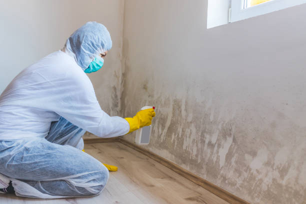 Hvac And Air Duct Mold Remediation inspection of HVAC system in Melissa